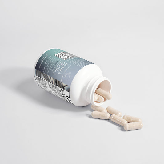 Nootropic Brain & Focus Formula Nootropic Brain & Focus Formula